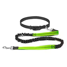 Hand-Free Dog Leash for Walking, Running & Jogging – Adjustable Waist Belt Bungee Leash with Reflective Stitching