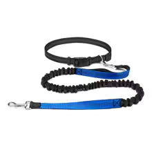 Hand-Free Dog Leash for Walking, Running & Jogging – Adjustable Waist Belt Bungee Leash with Reflective Stitching