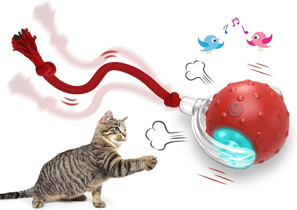 Motion-Activated Interactive Cat Ball – Rolling, Chirping Toy for Endless Indoor Play