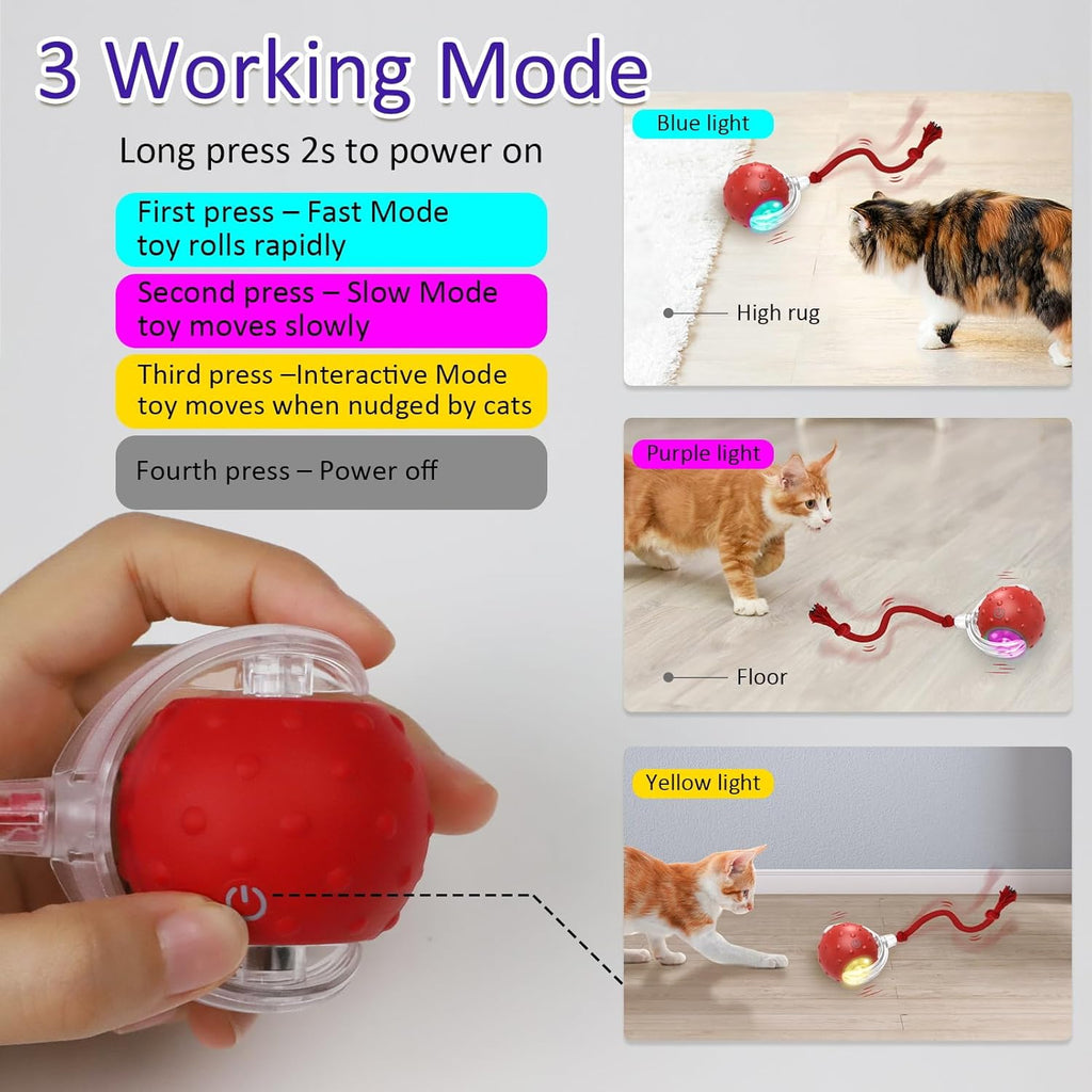Motion-Activated Interactive Cat Ball – Rolling, Chirping Toy for Endless Indoor Play
